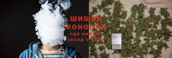 индика Белоозёрский