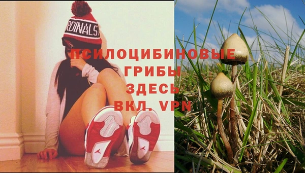 ECSTASY Богородицк
