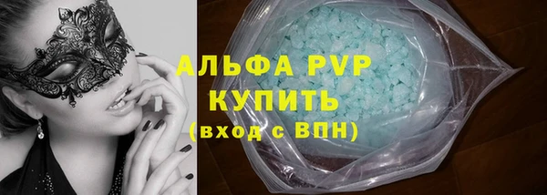 индика Белоозёрский