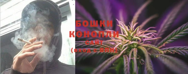 ECSTASY Богородицк