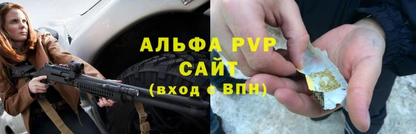 индика Белоозёрский