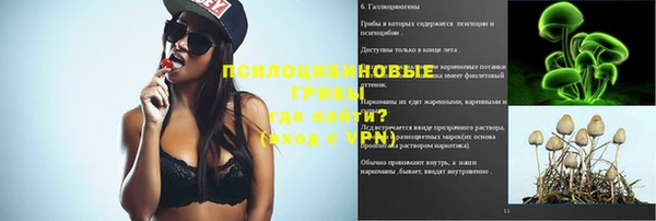 ECSTASY Богородицк