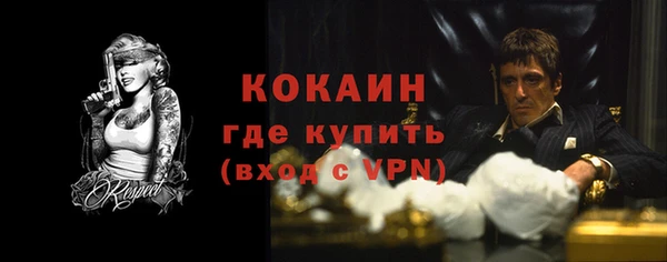 ECSTASY Богородск