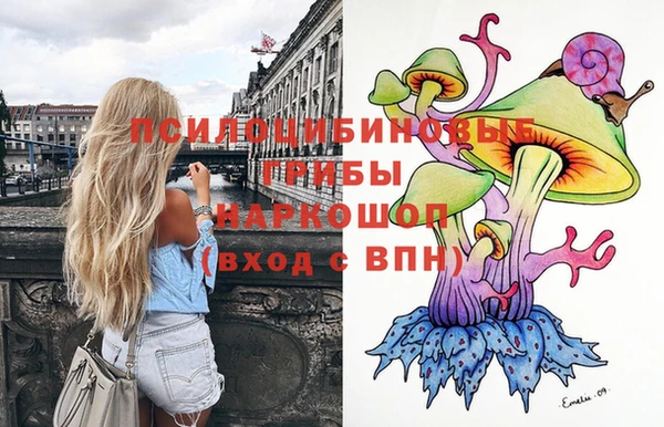индика Белоозёрский