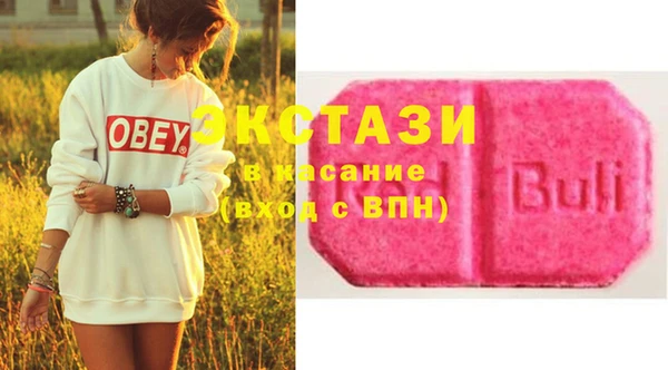ECSTASY Богородск