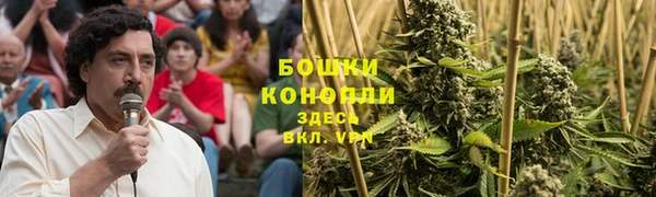 ECSTASY Богородицк