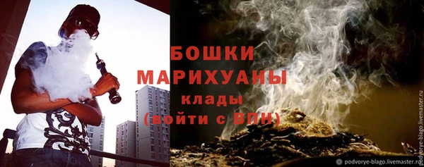 ECSTASY Богородицк