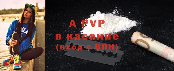 ECSTASY Богородицк