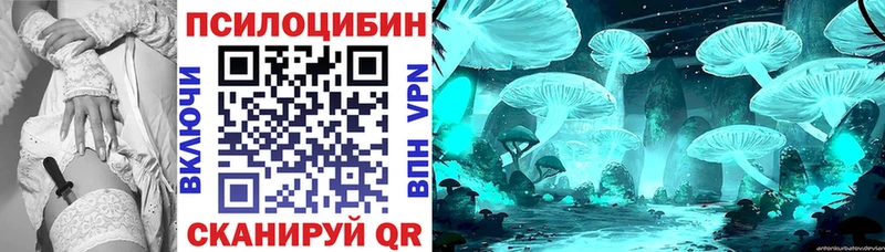 дарнет шоп  Белый  Галлюциногенные грибы мицелий 